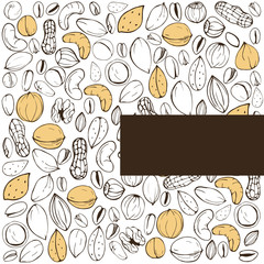 Background with nuts. Vector illustration.
