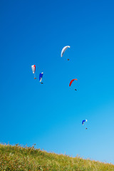 Several gliders flying over the slope of the hill.