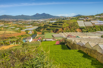 Da Lat Vietnam View greenhouse