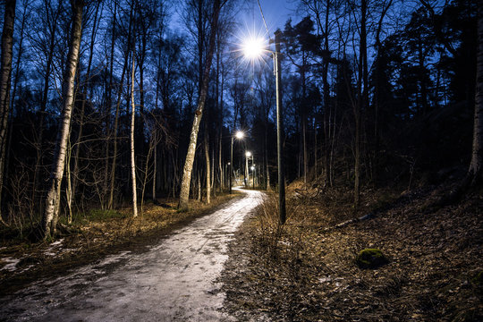 Fototapeta February 11, 2017 - Frozen path in a forest in Stockholm, Sweden