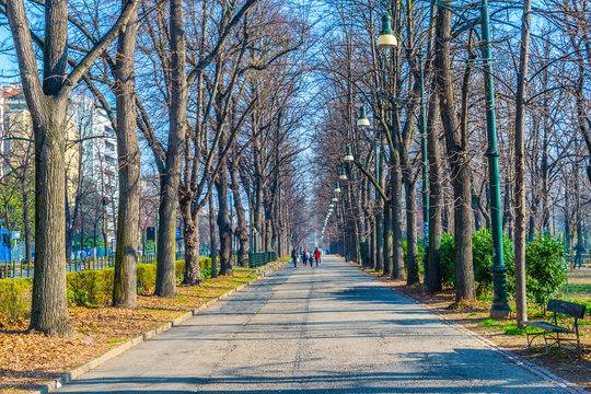 view of a promenade leading through the parco del valentino in the italian city torino