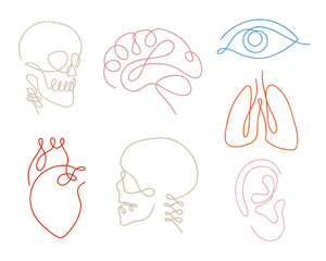 One line human organs set design silhouette.Logo design. Hand drawn minimalism style vector illustration.