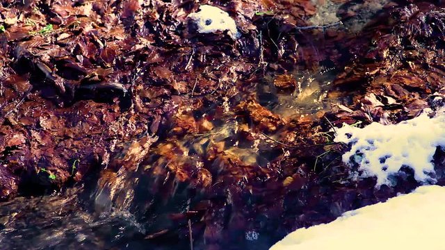 water flowing in the woods during the winter on a sunny day on the Italian Apennines mountains