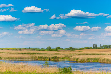 Abstract rural scenery in spring, with infinite horizon, bright colors, along natural lake with reed plants
