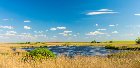 Abstract rural scenery in spring, with infinite horizon, bright colors, along natural lake with reed plants