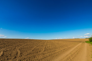 Fototapeta na wymiar Beautiful rural fields in early spring, on a clear day with cloudless blue sky