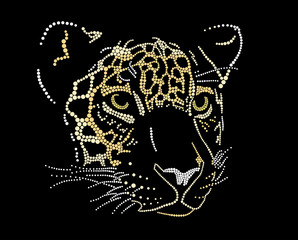 Muzzle of a jaguar © molotok289