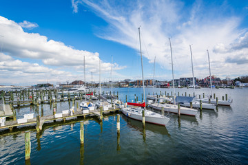 Fototapeta na wymiar Boats docked in Spa Creek, in Annapolis, Maryland.