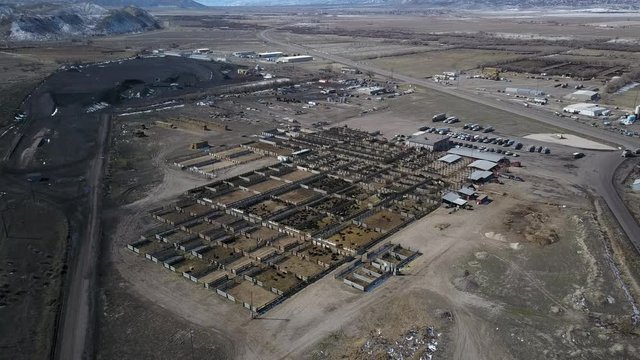 Aerial livestock auction cattle livestock yard rural town. Livestock and cattle auction yard in central Utah. Intermountain West facility to buy and sell animals. Cowboys move animals to buyers.