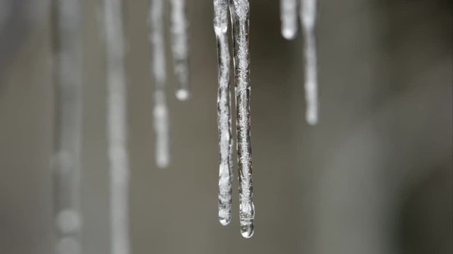 View of icicle row slowly meting in the spring.