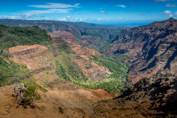 Waimea Canyon on the island of Kauai, Hawaii