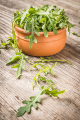 Fresh green arugula in bowl on wooden table