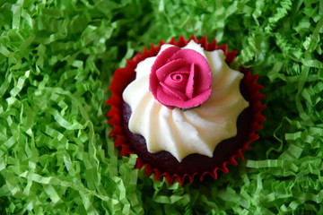 Muffins decorated with rose flower on green background. Spring, Mother's day, Valentine's day concept. Homemade cupcake with whipped cream and pink rose spring flower on green grass background.
