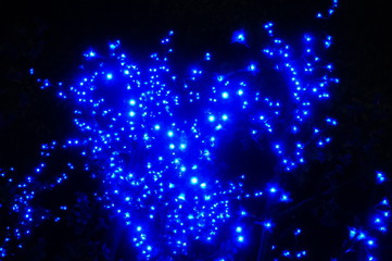 Blue neon lights in the night, very beautiful landscape.