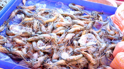 shrimp in market