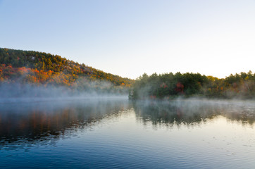 Sunrise above forest lake