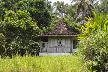 Fototapeta na wymiar Wooden house with a tiled roof among rice fields. Island Bali, Ubud, Indonesia