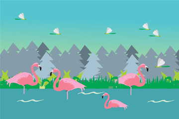 flamingo in lake
