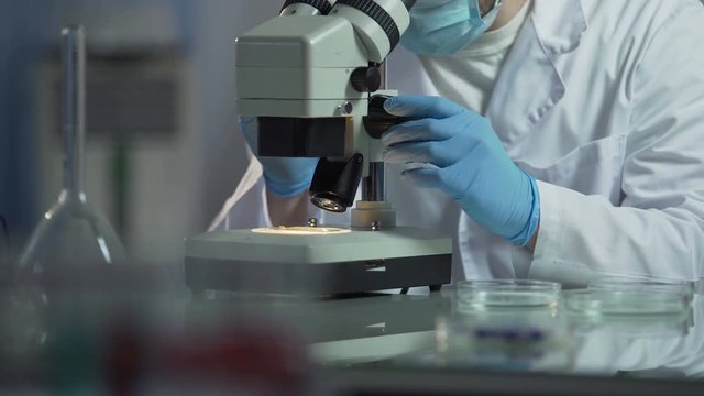 Biologist carefully examining cell particles, carrying course of investigations 