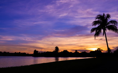 Miami Silhouette Sunset over Lake 