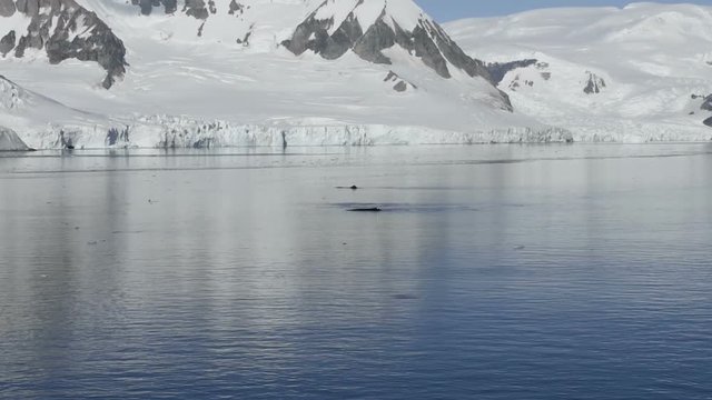 Mountains in Antarctica, view from ship