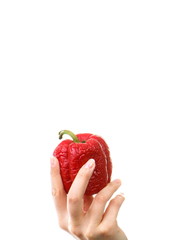 Hand of woman with old wrinkled peppers, copy space for text on white background