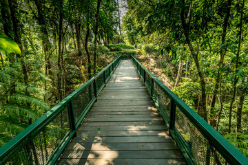 Wooden footbridge in the park