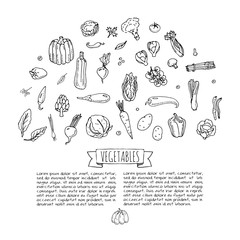 Hand drawn doodle vegetables icons set Vector illustration seasonal vegetable symbols collection Cartoon different kinds of vegetables Various types of vegetables on white background Sketchy style