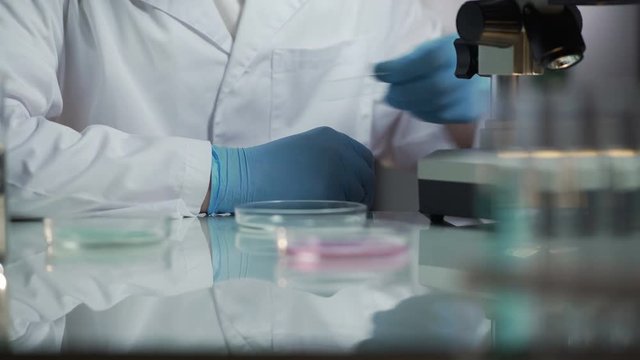Lab assistant comparing samples with recovery indexes of patient from test group