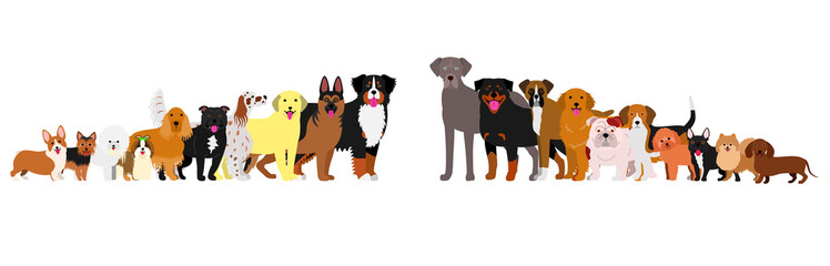 Border of dogs arranged in order of height