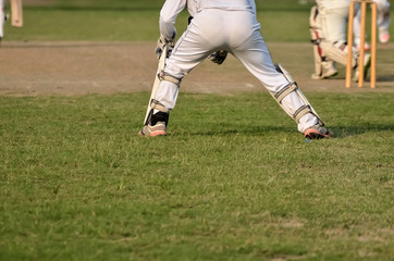 Obraz premium Boys are playing cricket