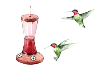 Watercolor Birds Hummingbirds Flying Around the Feeder Hand Drawn Summer Garden Illustration isolated on white background