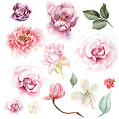Watercolor set with peony, roses and magnolia  flowers. Illustration