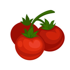 Tomato vegetable fruit vector isolated flat icon