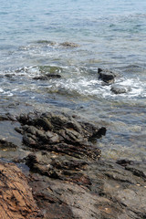 Black Volcanic Stones Near Sea