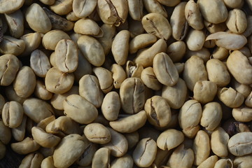 Define parchment coffee: dried but unhulled coffee beans
