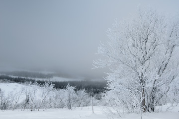 Winter landscape in Russian Lapland, Kola Peninsula