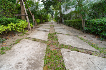 Square block walk way in garden
