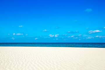 Fototapeta premium tropical beach
