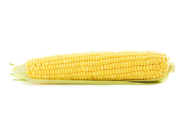 Sweet corn isolated on a white