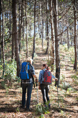 Fototapeta premium Hiking Couple backpacker in the pine forest.