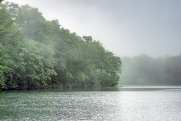 長野県小谷村　新緑の鎌池