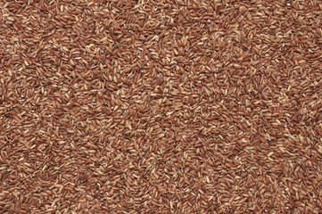 Pile of brown rice