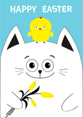 Cat holding yellow tulip flower and chicken bird. Happy Easter Greeting card. Baby chick bird friends. Cute cartoon funny character. Blue background. Flat design.