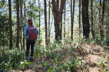 Tourist with backpack walking through in forest to go mountain top.