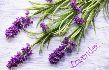 Provencal lavender on wooden background