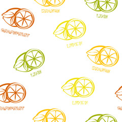Citrus seamless pattern background