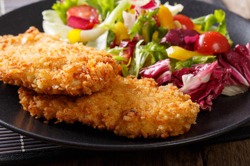 Chicken cutlets in breadcrumbs Panko and fresh salad macro on the plate. horizontal