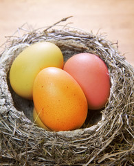 bright Easter eggs in a nest