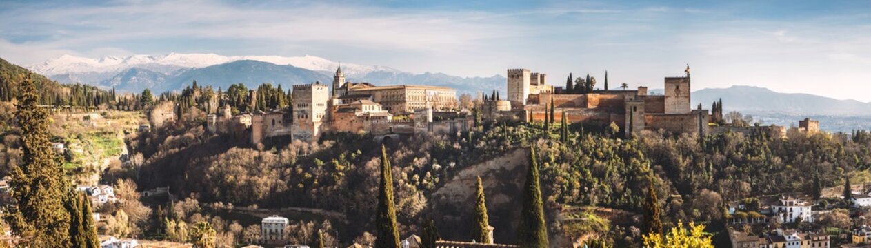 View of Alhambra palace on hill at Granada 